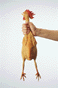rubber_chicken.gif (3509 bytes)